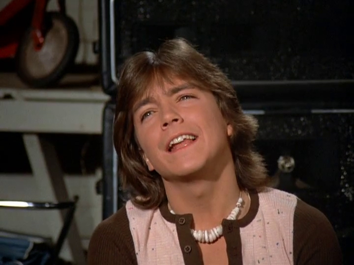 David Cassidy