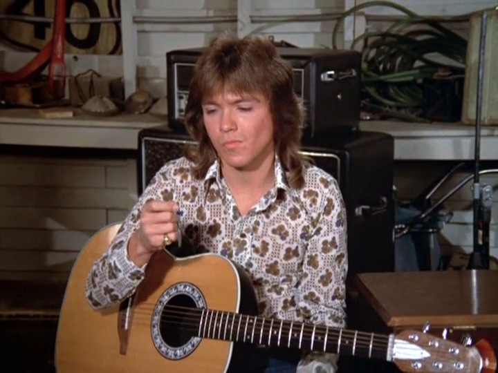 David Cassidy