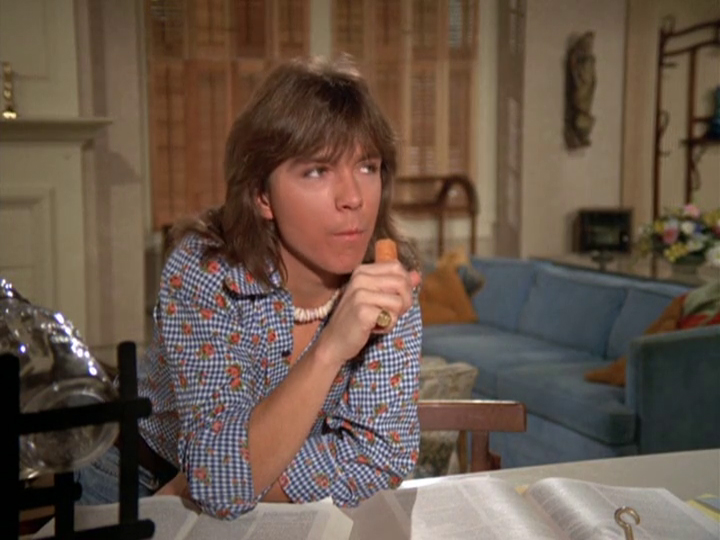 David Cassidy