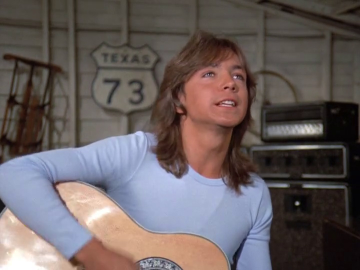 David Cassidy