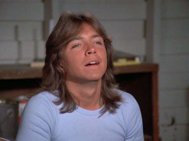 David Cassidy