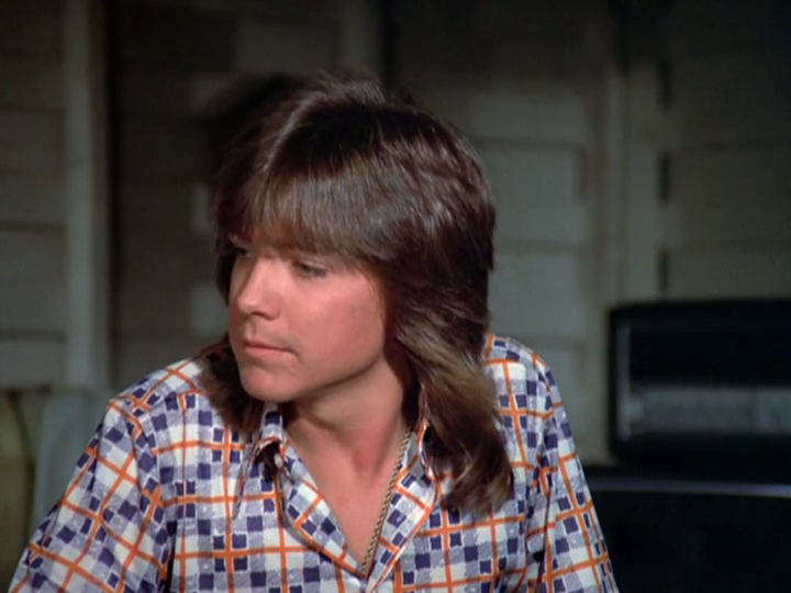 David Cassidy