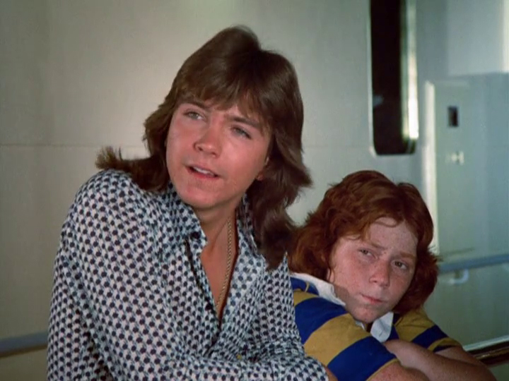 David Cassidy