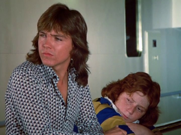 David Cassidy