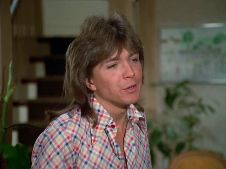 David Cassidy