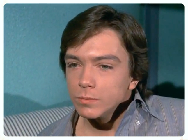 David Cassidy in The Mod Squad