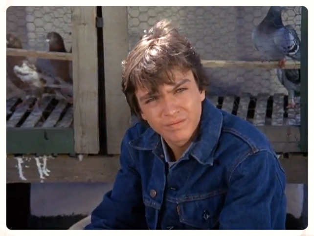 David Cassidy in The Mod Squad