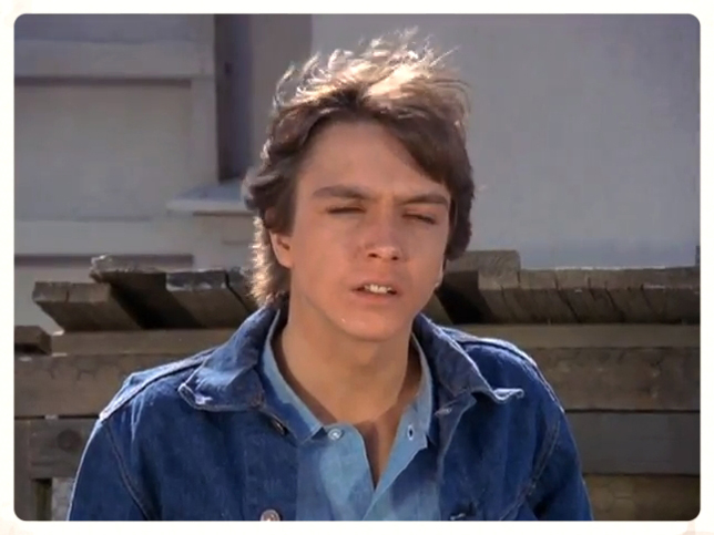 David Cassidy in The Mod Squad