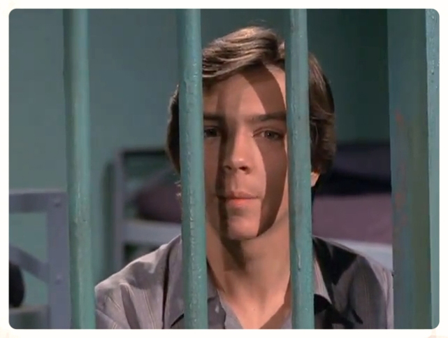 David Cassidy in The Mod Squad