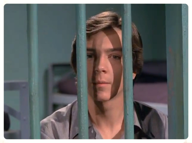 David Cassidy in The Mod Squad