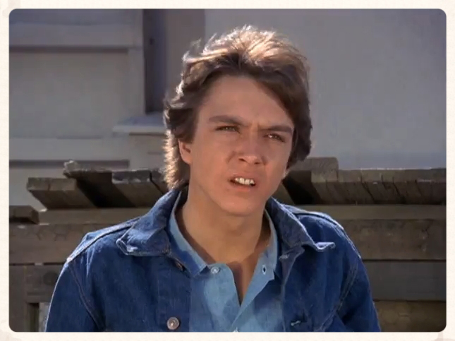 David Cassidy in The Mod Squad