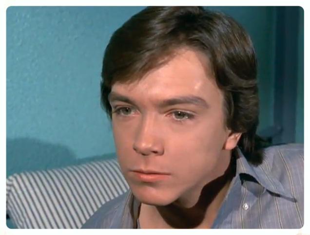 David Cassidy in The Mod Squad