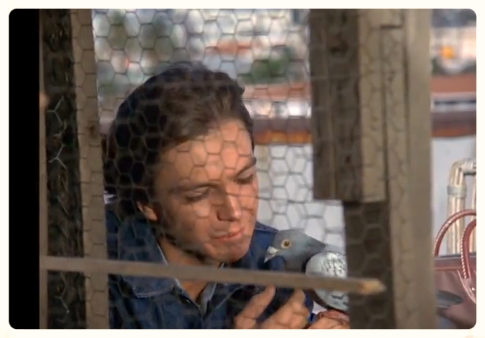 David Cassidy in The Mod Squad