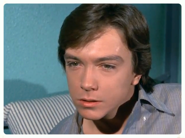 David Cassidy in The Mod Squad